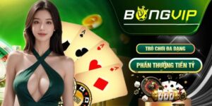 Trang Bongvip - Thiên đường chơi cá cược đỉnh cao nhất