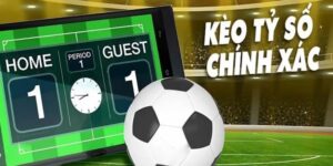 Bongvip - Trải nghiệm nền tảng cược kèo tỷ số chính xác